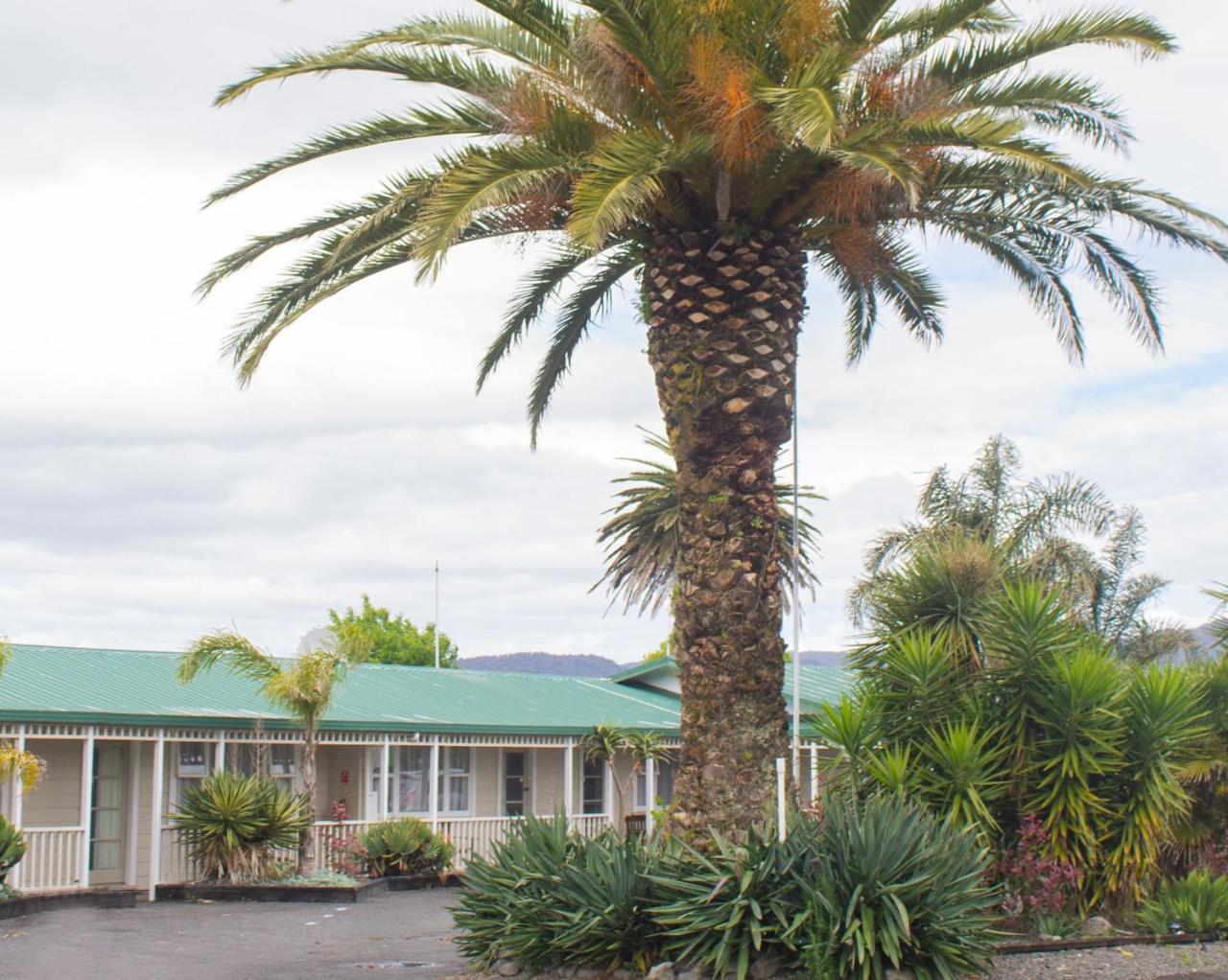 Palm Motel Waihi Εξωτερικό φωτογραφία