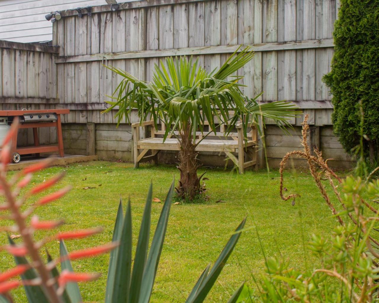 Palm Motel Waihi Εξωτερικό φωτογραφία